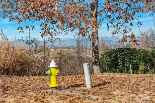 99999 Bay Laurel Ln, Hendersonville, NC 28791 - Photo 8