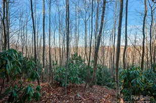 99999 Bay Laurel Ln, Hendersonville, NC 28791 - Photo 12