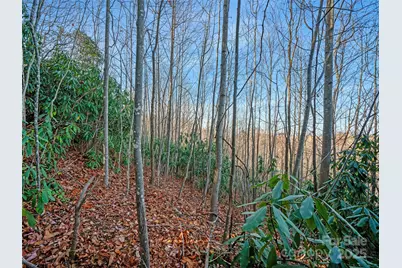 99999 Bay Laurel Lane, Hendersonville, NC 28791 - Photo 18