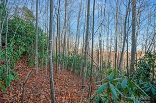 99999 Bay Laurel Ln, Hendersonville, NC 28791 - Photo 18