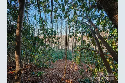 99999 Bay Laurel Lane, Hendersonville, NC 28791 - Photo 6