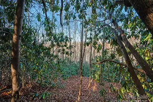 99999 Bay Laurel Ln, Hendersonville, NC 28791 - Photo 6