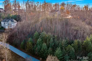 99999 Bay Laurel Ln, Hendersonville, NC 28791 - Photo 26