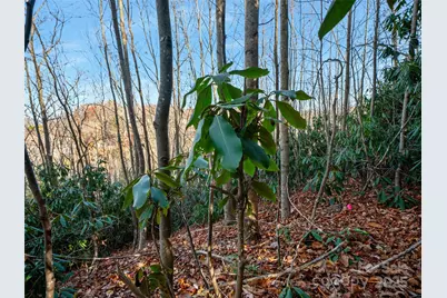 99999 Bay Laurel Lane, Hendersonville, NC 28791 - Photo 16