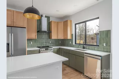 41 Leap Frog Park, Waynesville, NC 28786 - Photo 6