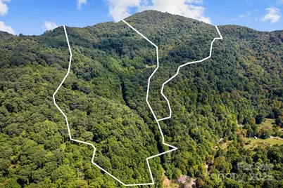 505 Old Home Place Drive, Marshall, NC 28753 - Photo 2