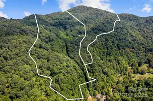 505 Old Home Pl Dr, Marshall, NC 28753 - Photo 2