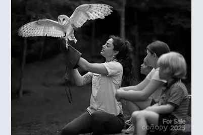 146 E Clubhouse Road #99, Sylva, NC 28779 - Photo 18