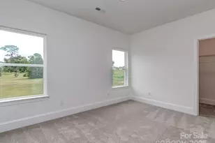 320 Triple Ponds Ct, Clover, SC 29710 - Photo 32