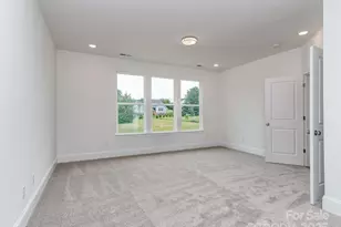 320 Triple Ponds Ct, Clover, SC 29710 - Photo 30