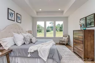 320 Triple Ponds Ct, Clover, SC 29710 - Photo 18