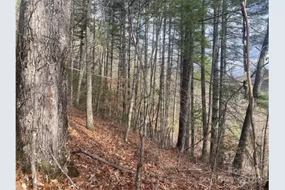0 Gospel Drive, Sylva, NC 28779 - Photo 4