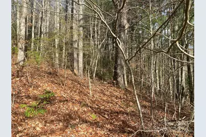 0 Gospel Drive, Sylva, NC 28779 - Photo 2