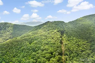 2200 Camp Branch Rd, Waynesville, NC 28786 - Photo 8