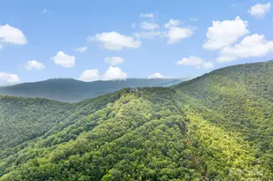 2200 Camp Branch Rd, Waynesville, NC 28786 - Photo 10