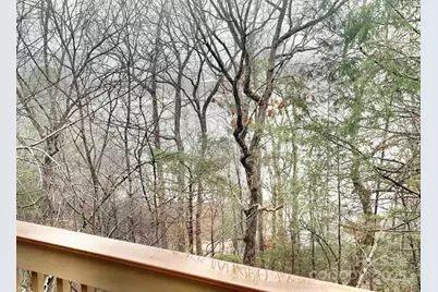 155 Quail Cove Boulevard #1608, Lake Lure, NC 28746 - Photo 36