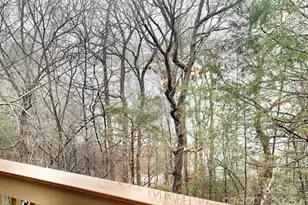 155 Quail Cove Blvd, Lake Lure, NC 28746 - Photo 36