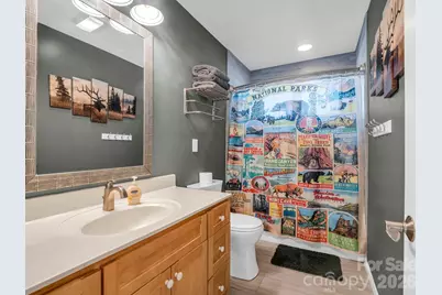 171 Wilson Court, Lake Lure, NC 28746 - Photo 26