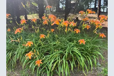 620 Smith Waldrop Road, Columbus, NC 28722 - Photo 42