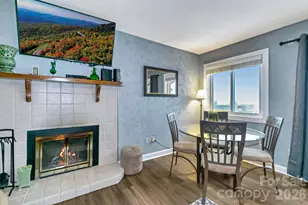 301 Pinnacle Inn Rd, Beech Mountain, NC 28604 - Photo 20