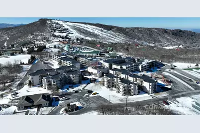 301 Pinnacle Inn Road #4313, Beech Mountain, NC 28604 - Photo 30