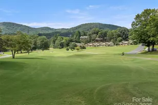 155 Quail Cove Blvd, Lake Lure, NC 28746 - Photo 48