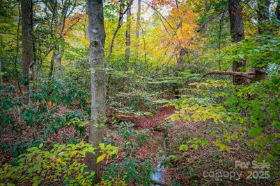 00 Grandin Road #2, Lenoir, NC 28645 - Photo 6