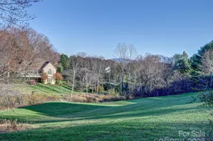 7 Round Robin Ln, Mills River, NC 28759 - Photo 32