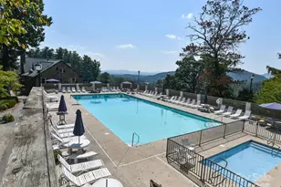 7 Round Robin Ln, Mills River, NC 28759 - Photo 36