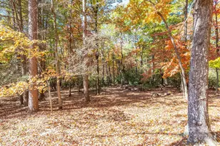 102 Weaver Ml Rd, Columbus, NC 28722 - Photo 40