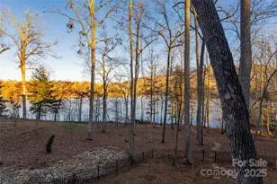 47 Twilight Sedge Dr, Biltmore Lake, NC 28715 - Photo 26