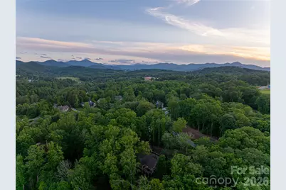 47 Twilight Sedge Drive, Biltmore Lake, NC 28715 - Photo 46