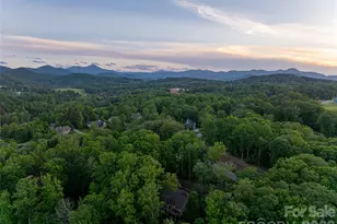 47 Twilight Sedge Dr, Biltmore Lake, NC 28715 - Photo 46