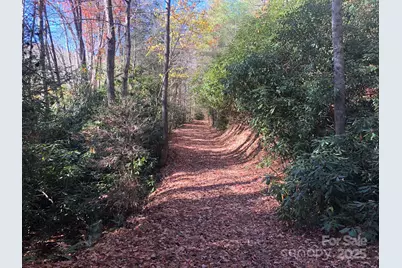 3076 Anderson Cove Road, Marshall, NC 28753 - Photo 30