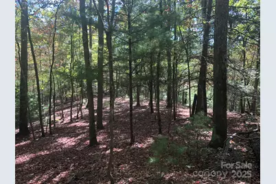 3076 Anderson Cove Road, Marshall, NC 28753 - Photo 36