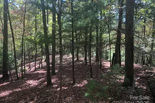 3076 Anderson Cove Rd, Marshall, NC 28753 - Photo 36