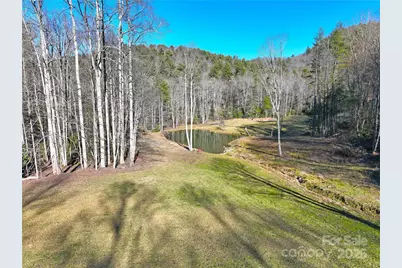 3076 Anderson Cove Road, Marshall, NC 28753 - Photo 4