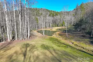 3076 Anderson Cove Rd, Marshall, NC 28753 - Photo 4