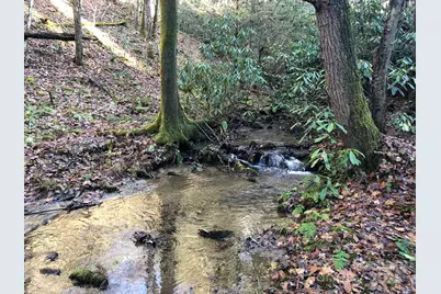 3076 Anderson Cove Road, Marshall, NC 28753 - Photo 32