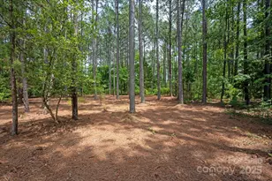 5053 Townsend Rd, Lancaster, SC 29720 - Photo 42