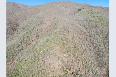 000 Fie Top Road, Maggie Valley, NC 28751 - Photo 38