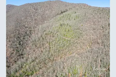 000 Fie Top Road, Maggie Valley, NC 28751 - Photo 30