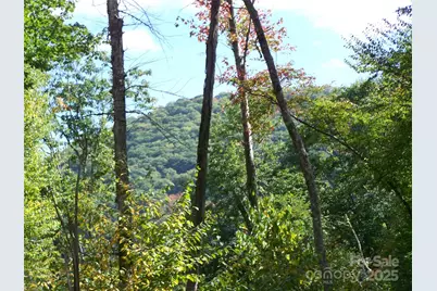 000 Fie Top Road, Maggie Valley, NC 28751 - Photo 14