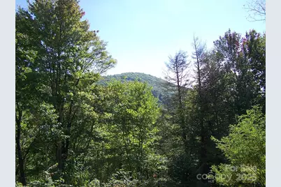 000 Fie Top Road, Maggie Valley, NC 28751 - Photo 8