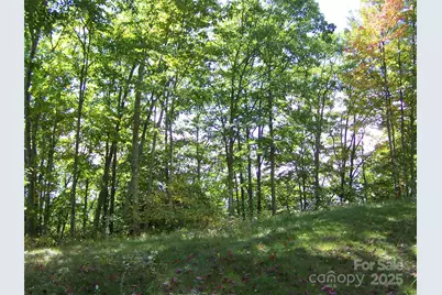 000 Fie Top Road, Maggie Valley, NC 28751 - Photo 2