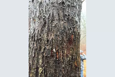 Off Alarka Road, Bryson City, NC 28713 - Photo 24