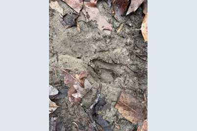 Off Alarka Road, Bryson City, NC 28713 - Photo 28