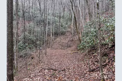 Off Alarka Road, Bryson City, NC 28713 - Photo 30