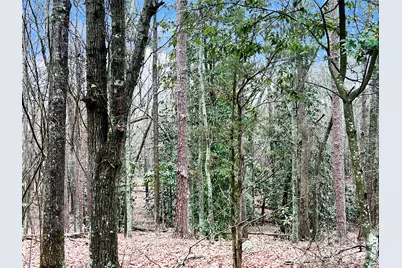 1777 Overbrook Road, Kershaw, SC 29067 - Photo 10