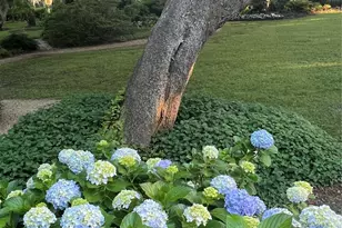 131 Pritchard St, Bluffton, SC 29910 - Photo 30